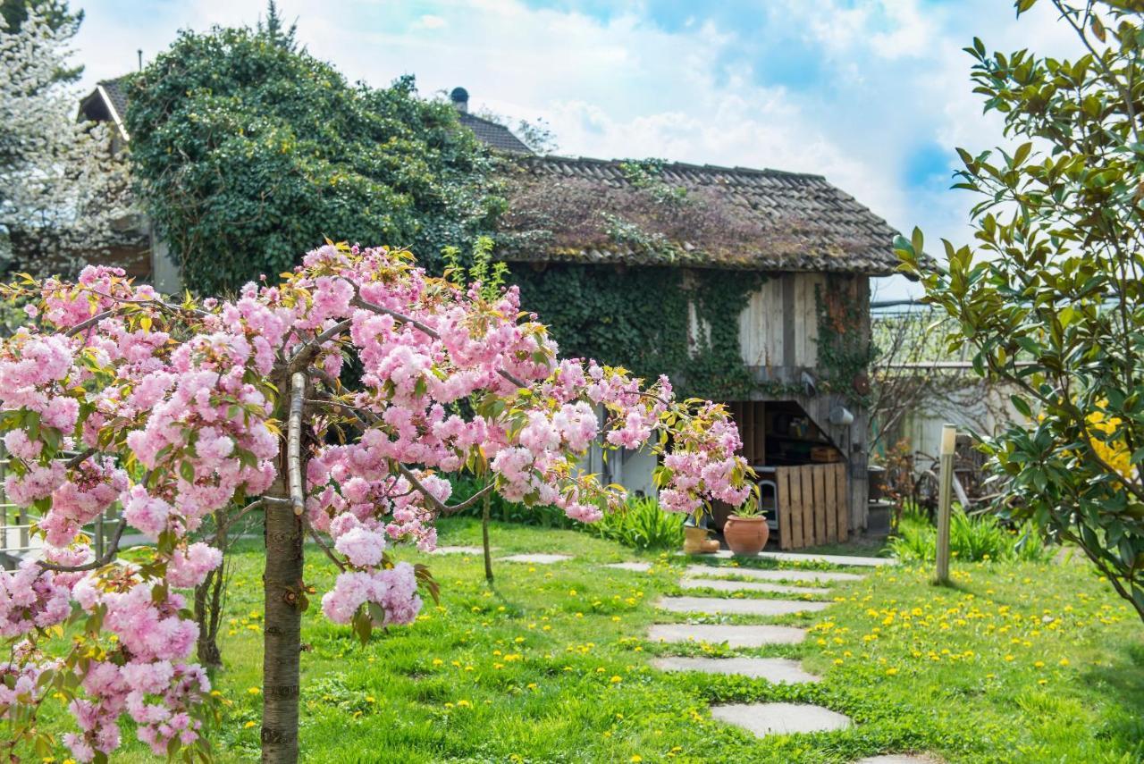 Villa Sonnenschein تيرلانو المظهر الخارجي الصورة